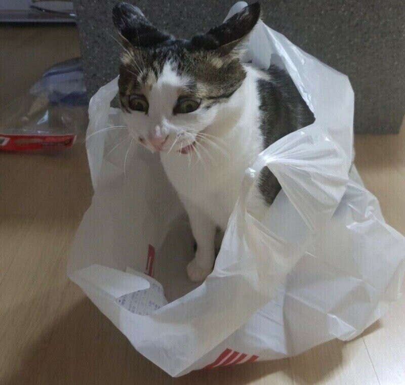 조선시대 그림 고증 수준 ㅋㅋㅋㅋ_4.jpg