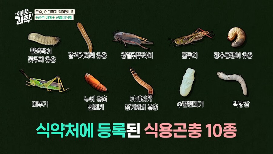 EBS) 벌레먹는 데프콘과 교수님들_1.png