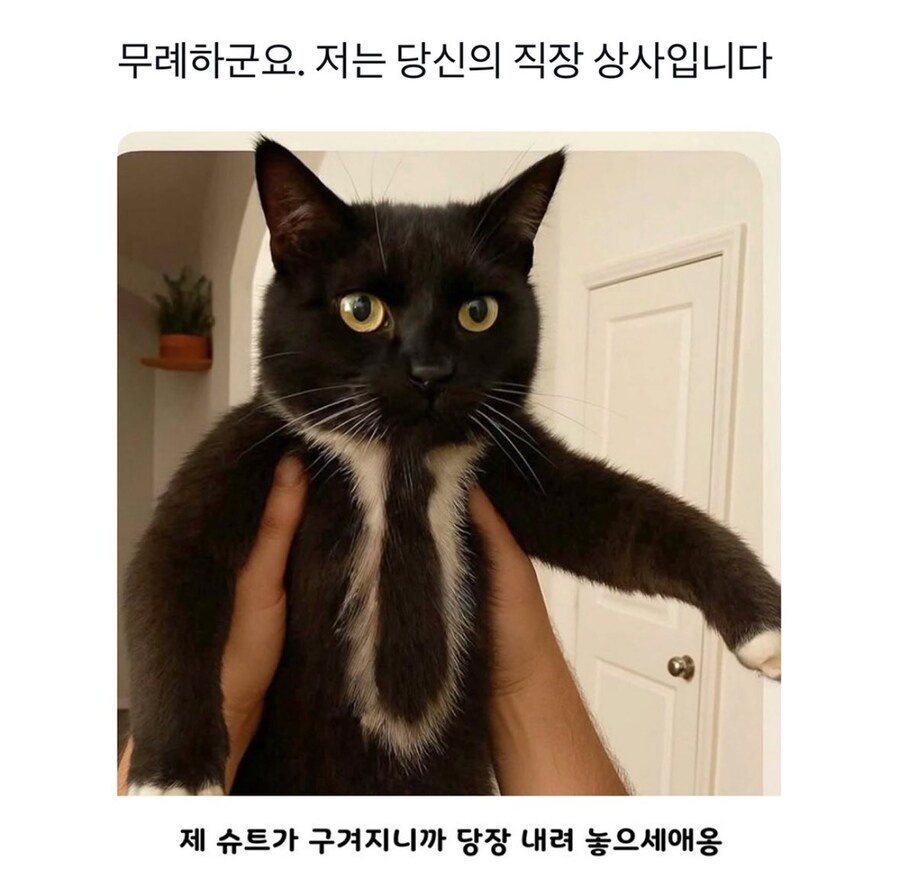 버릇없는 부하 직원을 만나버린 직장 상사_1.jpg