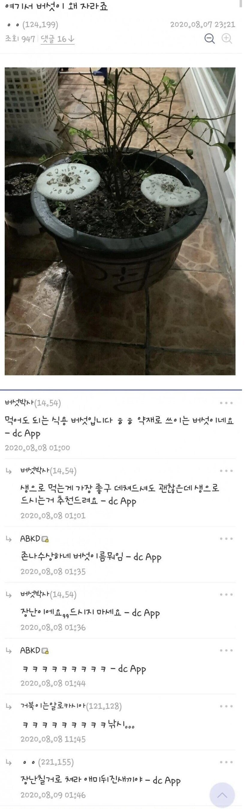 식물갤 사람들도 패드립하게 만드는 사람.jpg_1.jpg