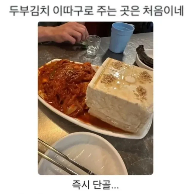 호불호 갈린다는 두부김치 취향_1.webp