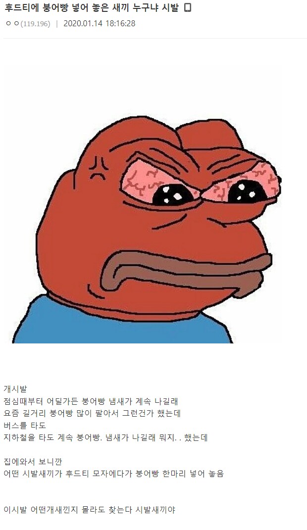 후드티에 붕어빵 넣은 사람 누구냐_1.png