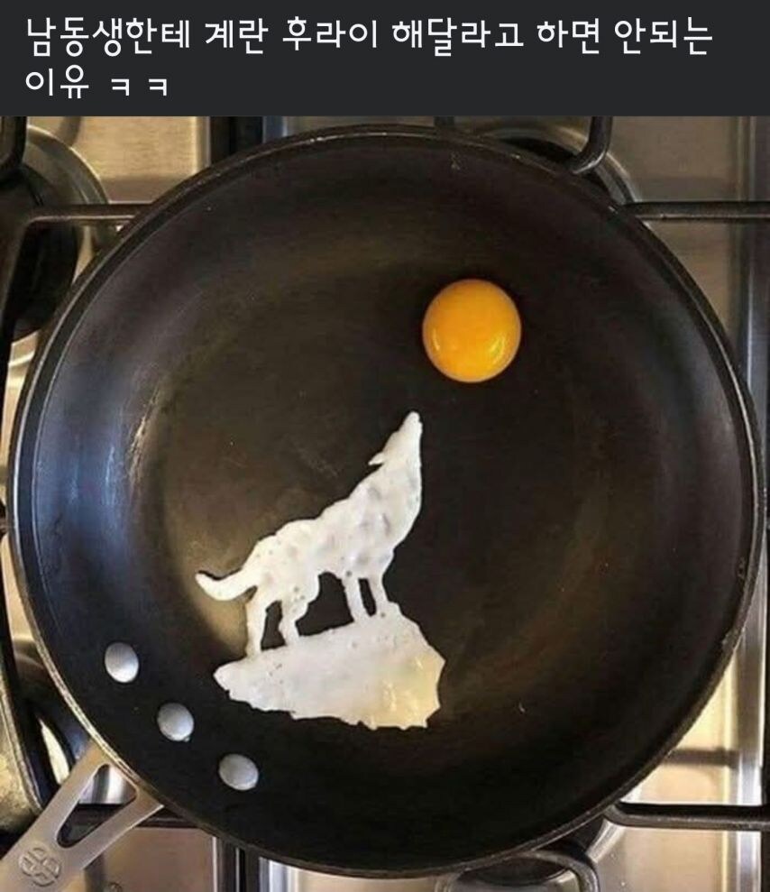 남동생한테 계란 후라이 해달라고 하면 안되는 이유.jpg_1.jpg