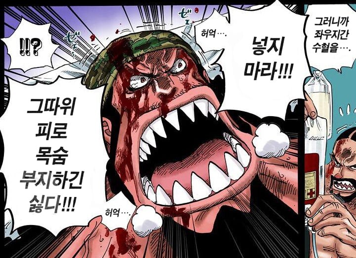 원피스에서 역대급으로 잘 만든 영웅 캐릭터.jpg_22.jpg