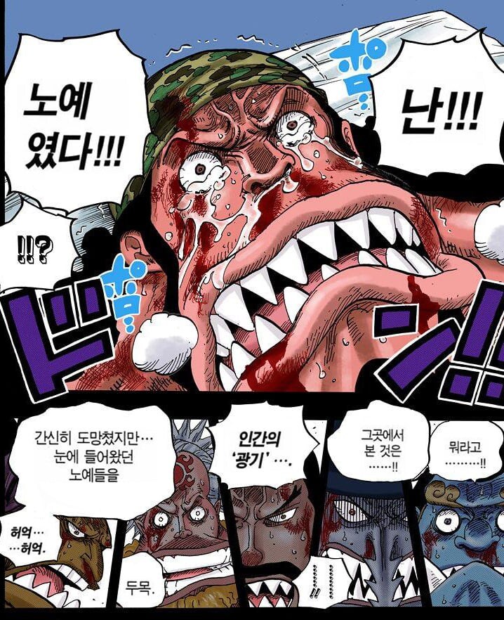 원피스에서 역대급으로 잘 만든 영웅 캐릭터.jpg_24.jpg