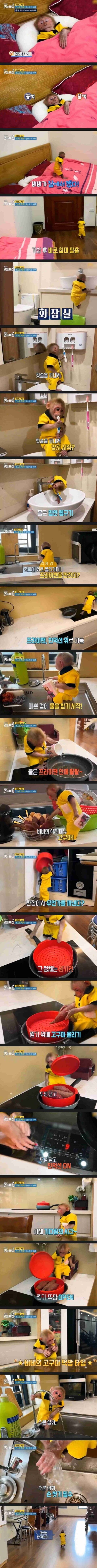 우왕ㅋ 굳ㅋ 님들 이거 봄? 이게 사람이야 원숭이야ㅋㅋㅋ_1.jpg
