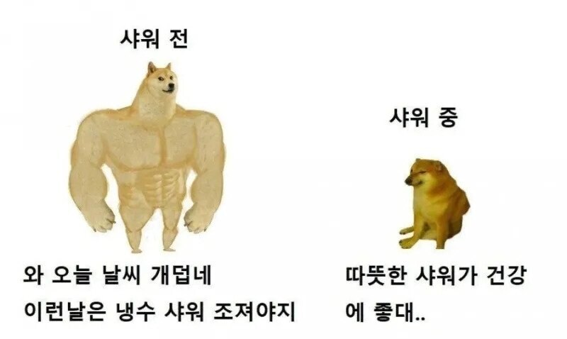 한여름에 샤워할 때 특징_1.jpg