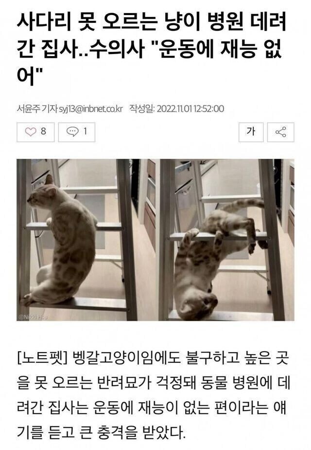 고양이를 병원에 데려감_1.jpg