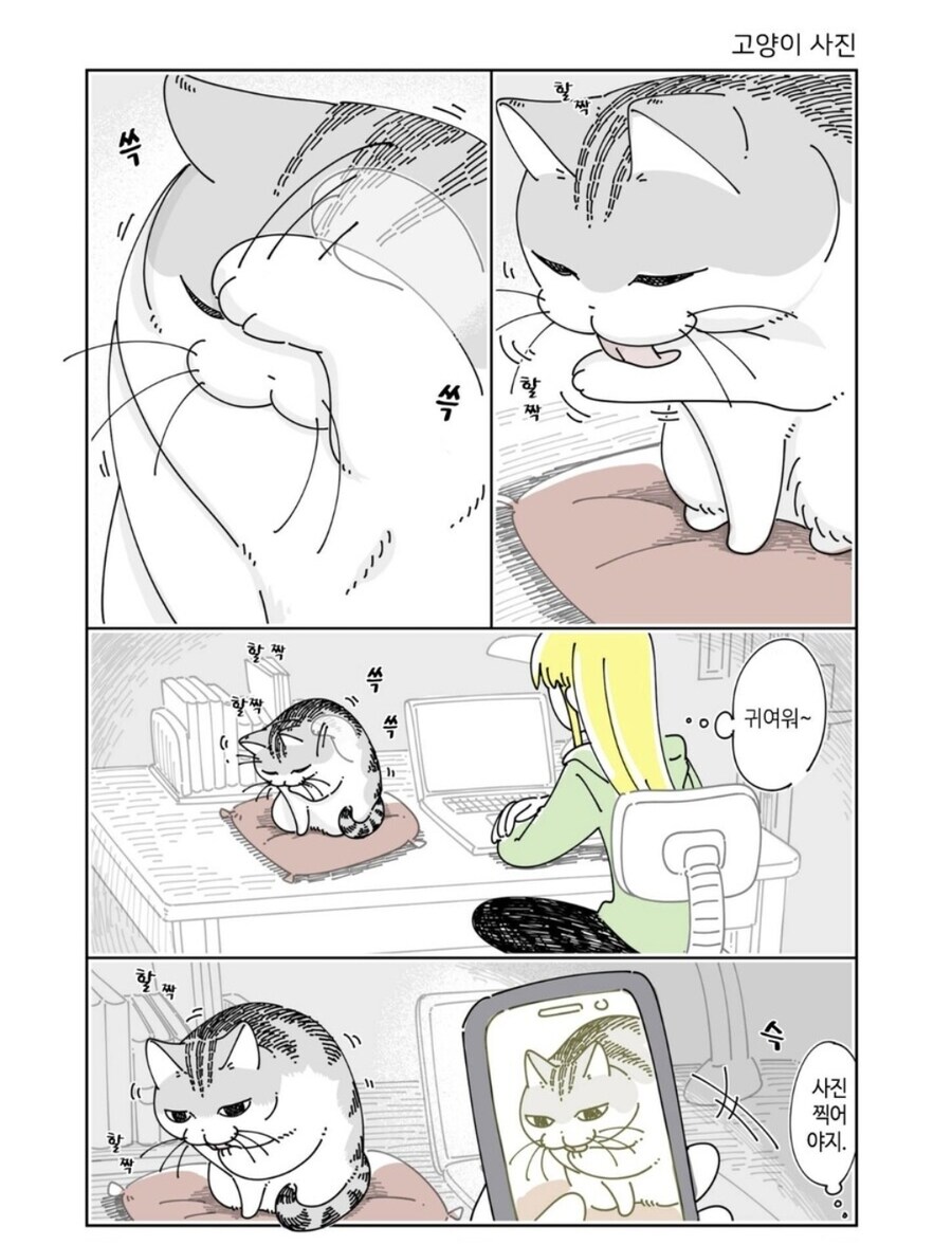 애완동물 키우는 사람 핸드폰 용량이 부족한이유_1.jpg