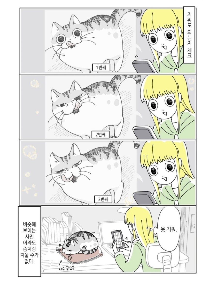 애완동물 키우는 사람 핸드폰 용량이 부족한이유_3.jpg