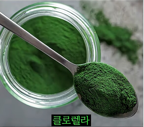 한 때 인류의 희망이라던 미래 식량_4.png