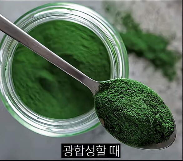 한 때 인류의 희망이라던 미래 식량_5.png
