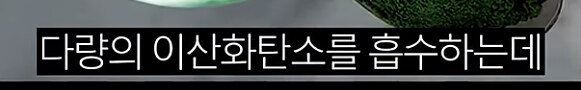 한 때 인류의 희망이라던 미래 식량_6.png