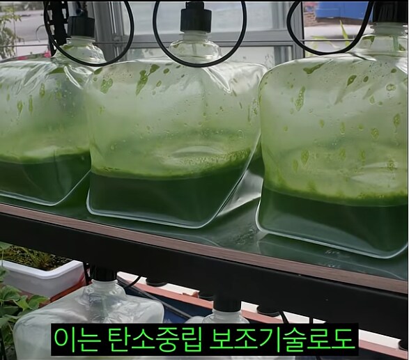 한 때 인류의 희망이라던 미래 식량_7.png