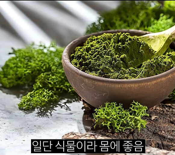 한 때 인류의 희망이라던 미래 식량_14.png