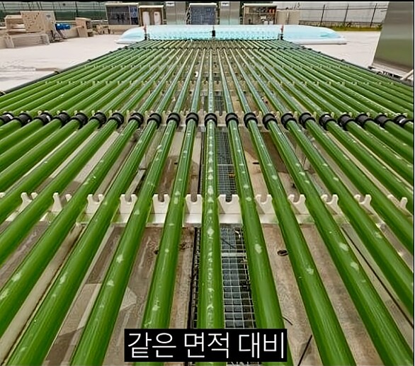 한 때 인류의 희망이라던 미래 식량_15.png