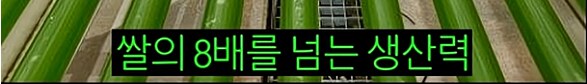 한 때 인류의 희망이라던 미래 식량_16.png