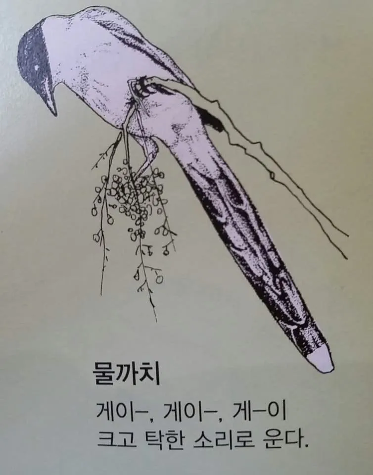 사람 뒤통수 때리는 새_4.webp