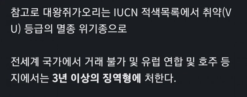 자기를 도와준 구조대원에게 범고래가 주고 간 선물_2.png