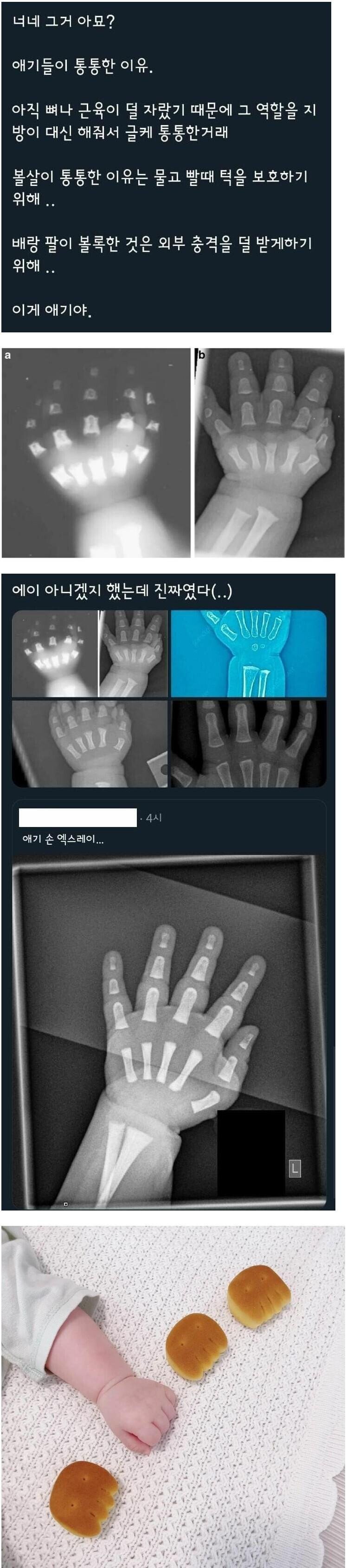 아기들 몸이 통통한 이유.jpeg_1.jpg