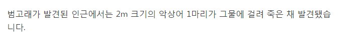 동해 바다 그물에 걸린 범고래를 구출해줬더니_3.png