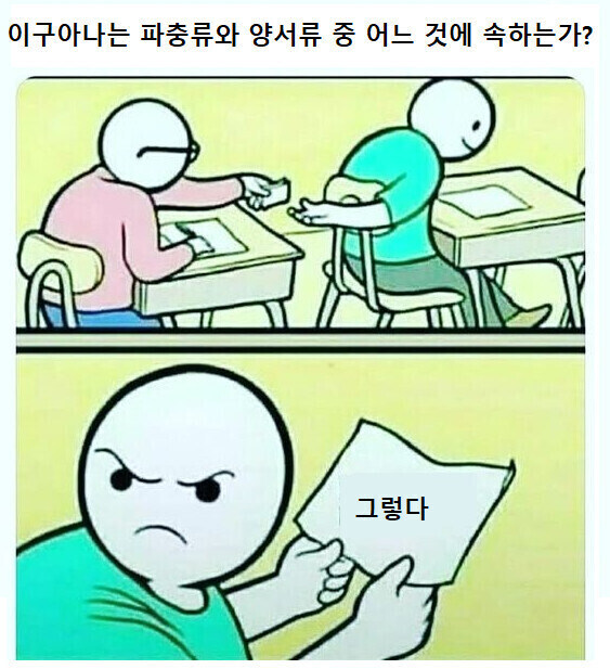 return true;_1.jpg