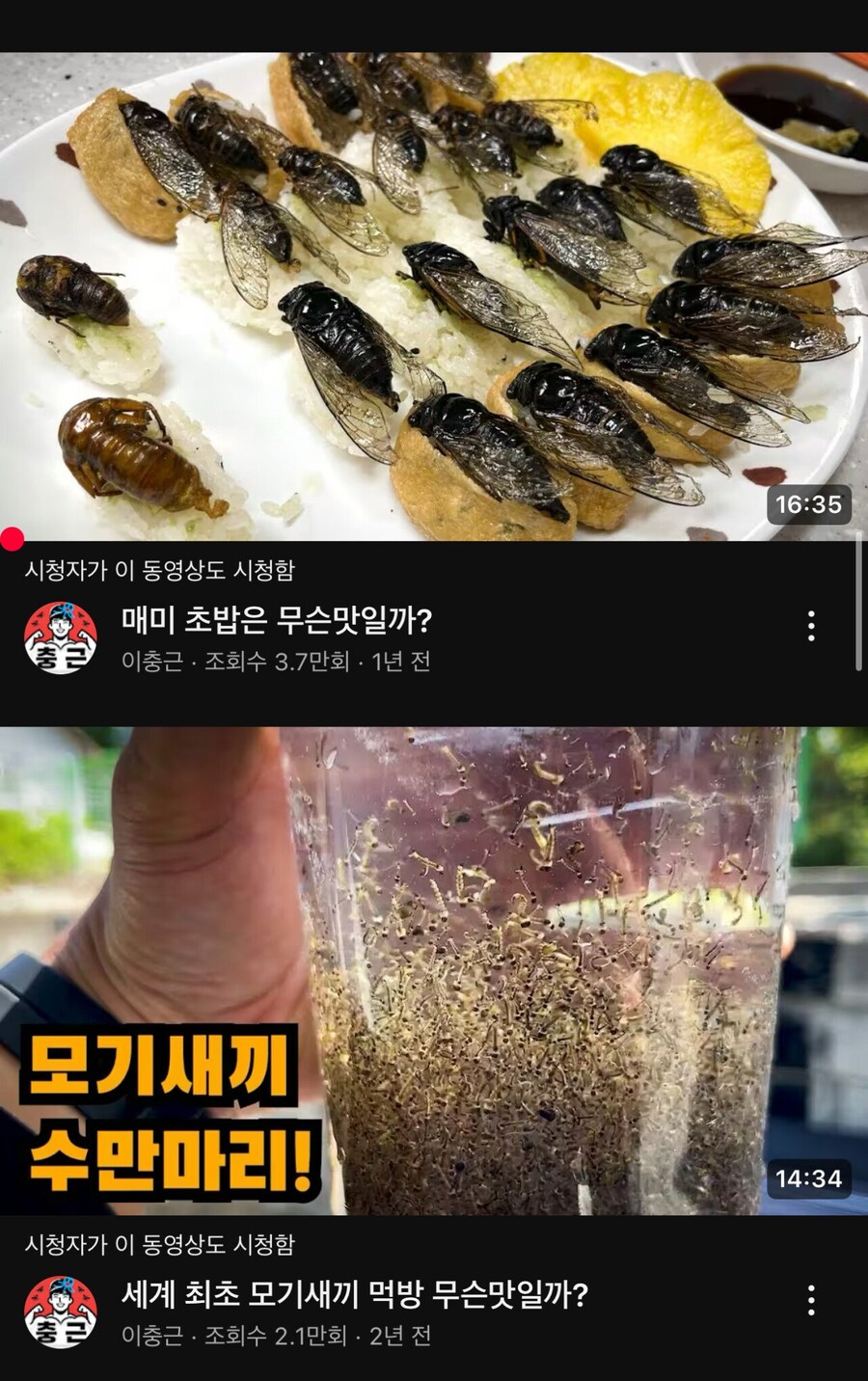 [혐] 러브버그 버거 먹방 유튜버의 과거를 알아보자.jpg_2.jpg