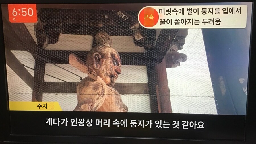 일본의 달달한 인왕상_1.jpg