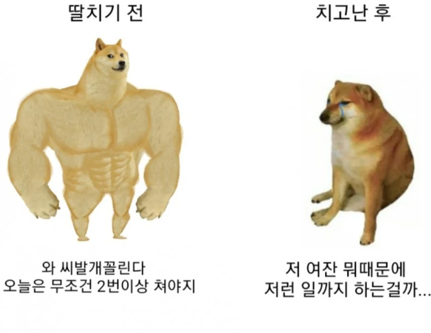 딸지기 전과 치고난 후 차이.jpg_1.webp