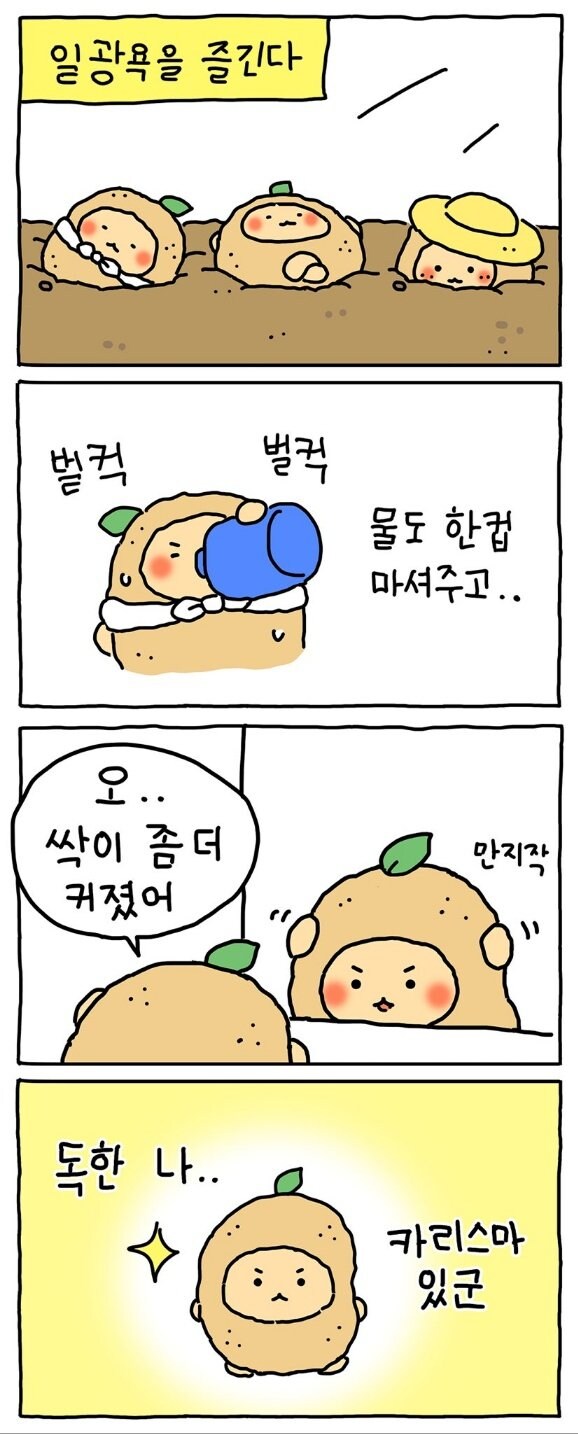 망그러진곰