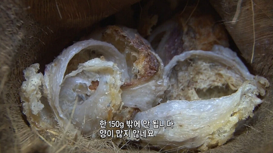 말로만 듣던
