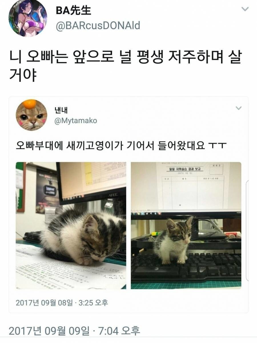 의도치않게 오빠를 암살한 여동생.jpg_1.jpg