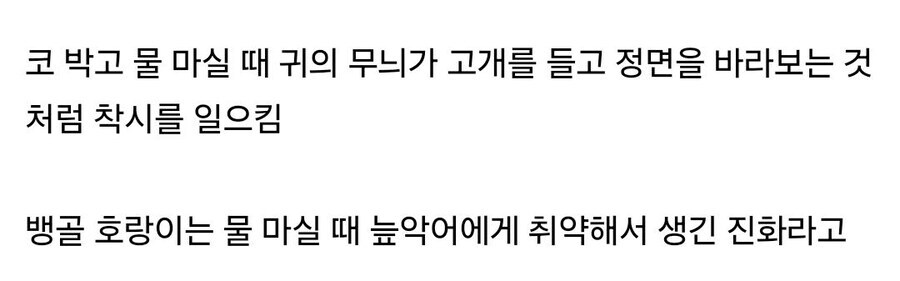 뱅골호랑이의 위장능력_3.jpg