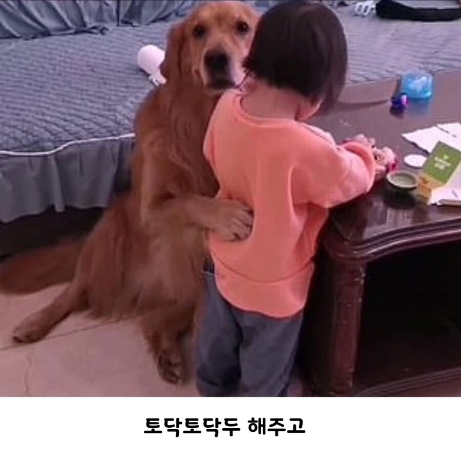 마! 큰 집사애 너무 그르지 마라_2.jpg