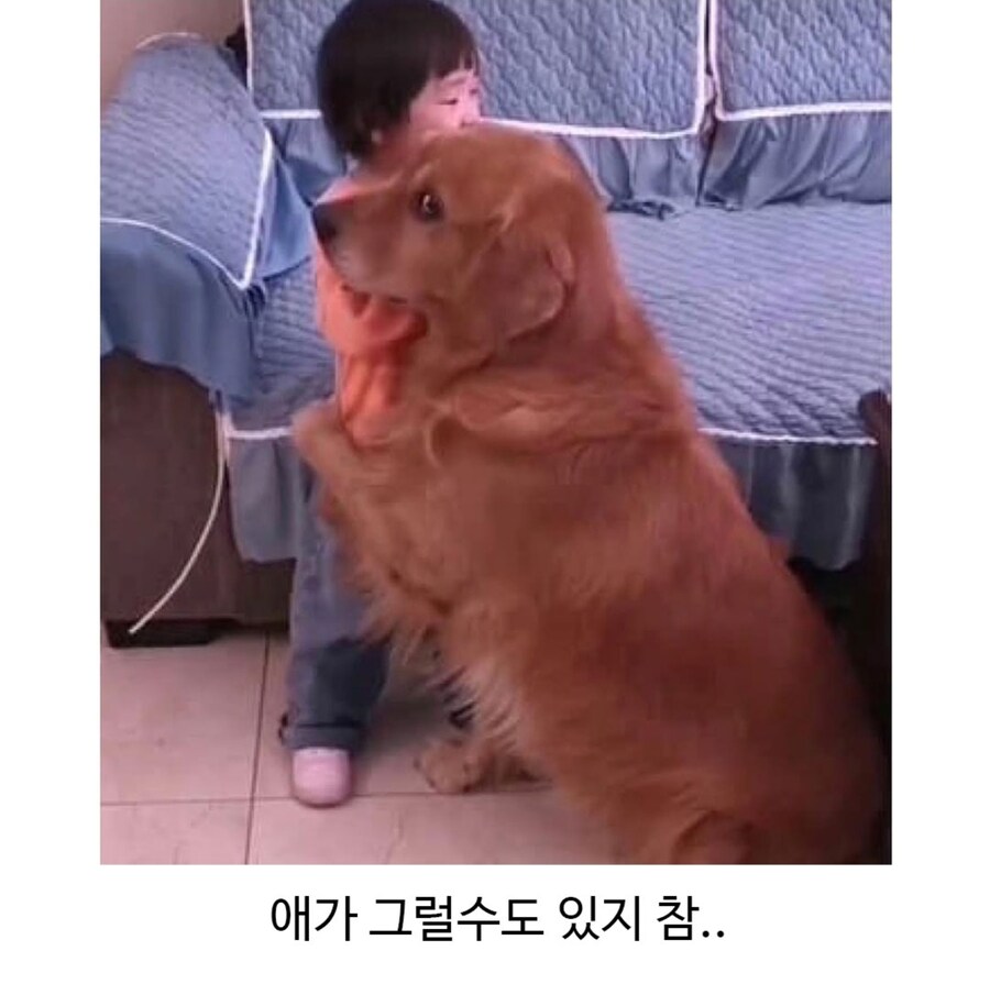 마! 큰 집사애 너무 그르지 마라_3.jpg