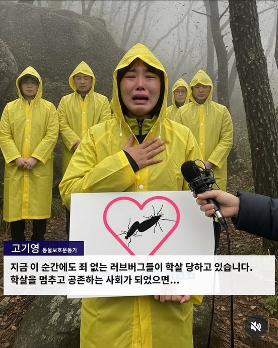 러브버그 학살 반대 동물보호단체 영상, 거짓으로 밝혀져.jpg_1.jpg