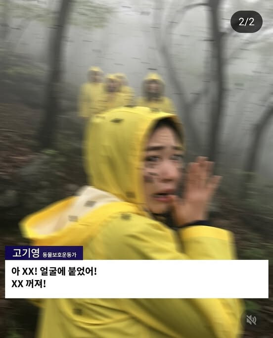 러브버그 학살 반대 동물보호단체 영상, 거짓으로 밝혀져.jpg_3.jpg