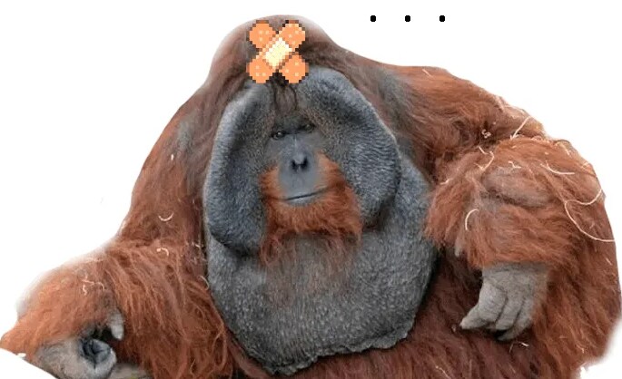 김제에서 지평선 테마로 축제를 하는 이유.jpg_6.png