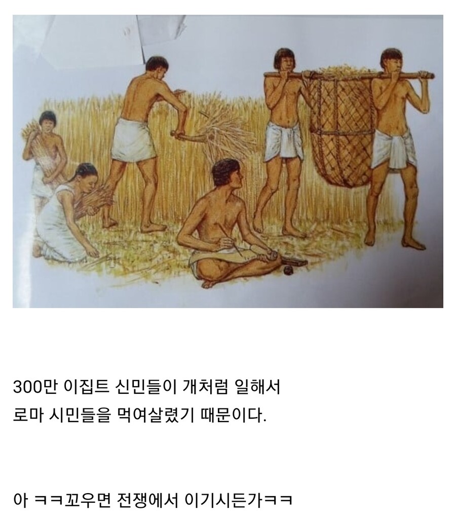 로마제국이 시민들에게 공짜 빵을 나눠 줄수있던 방법_2.jpg