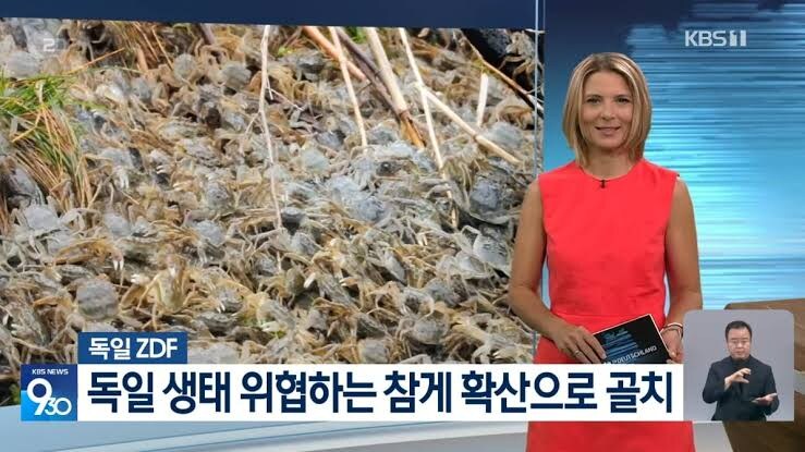 독일