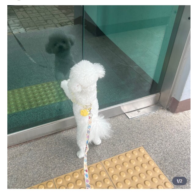 쭈인님...살려주세요_1.png
