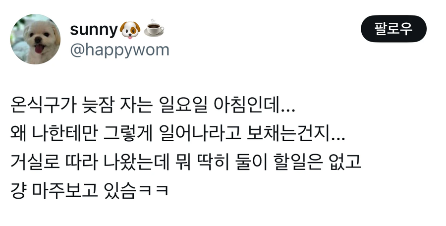 주말에 마주한 강아지._1.webp
