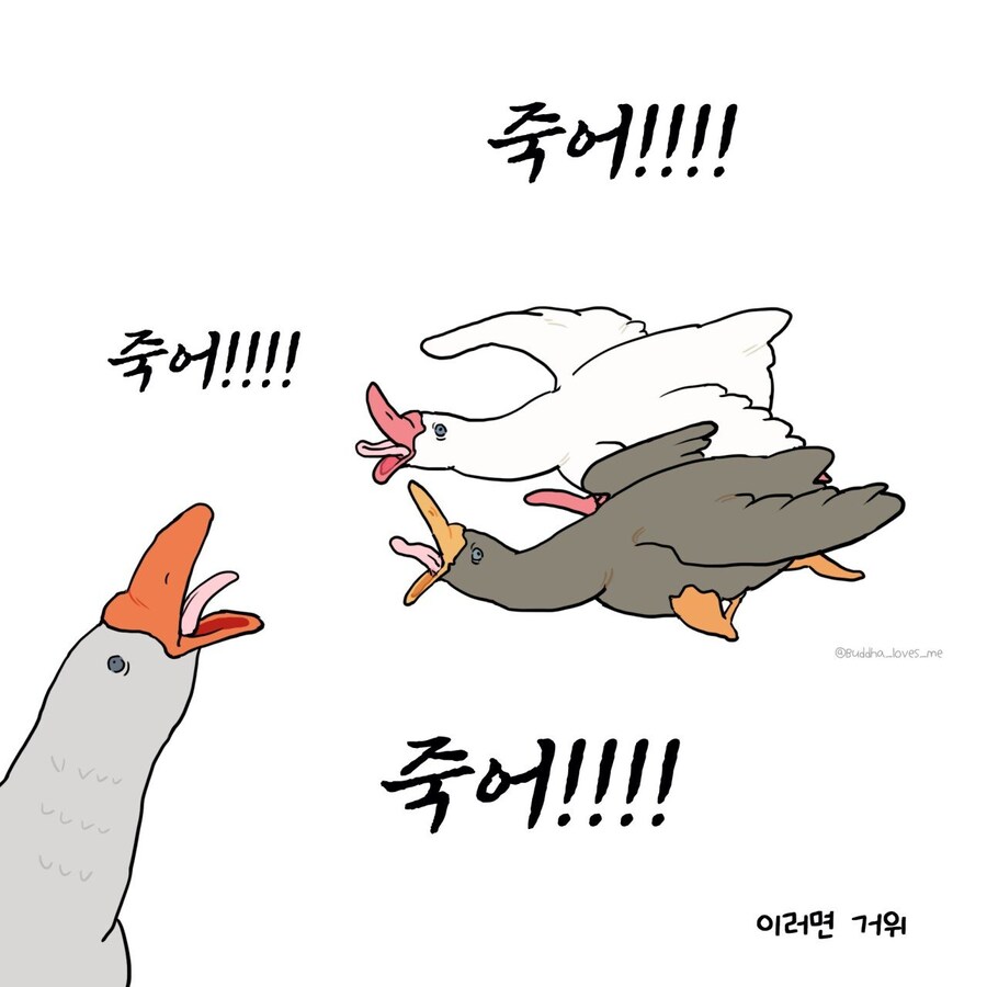 오리와 거위를 구분하는법.jpg_4.jpg