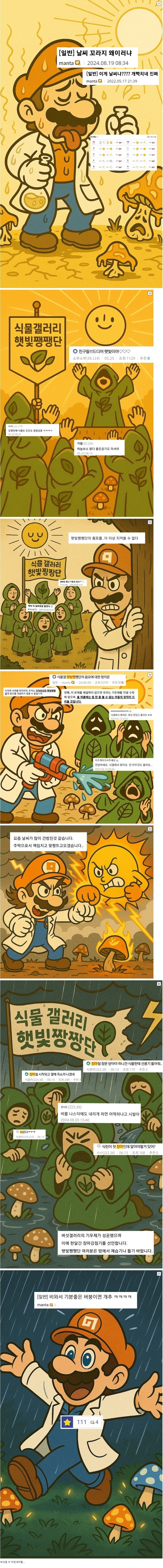 날씨 가지고 서로 대립한다는 식물갤과 버섯갤 ㄷㄷ_1.jpg