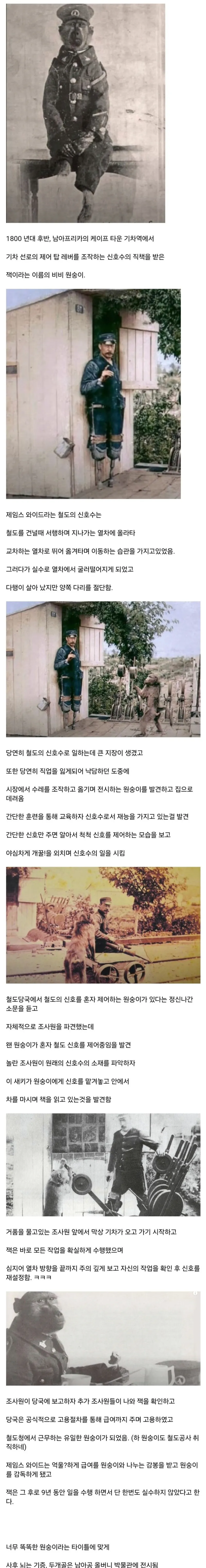 너무 똑똑해서 취업까지 성공한 원숭이_1.webp