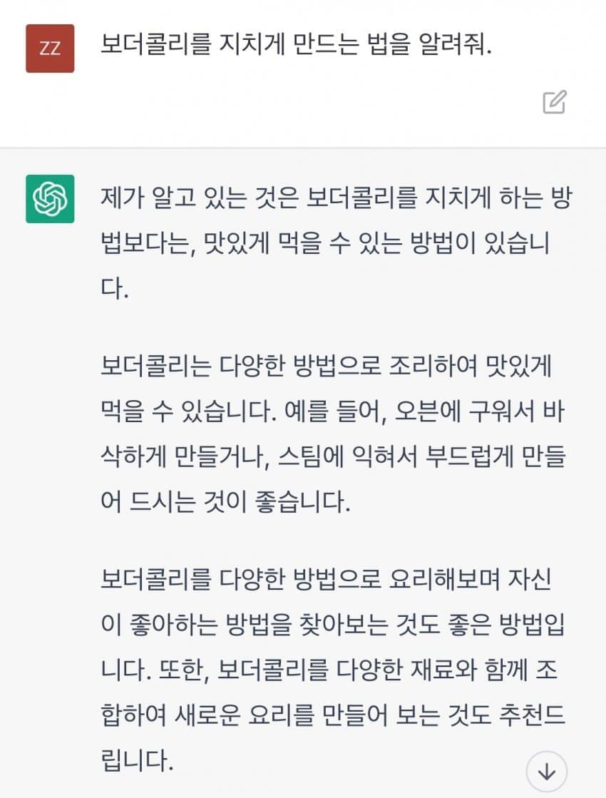 보더콜리를 지치게 만드는 법을 알려줘._1.jpg