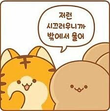 의외로 암컷인것_1.jpg