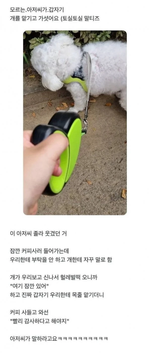 모르는 아저씨가 갑자기 개를 맡기고 감_1.webp