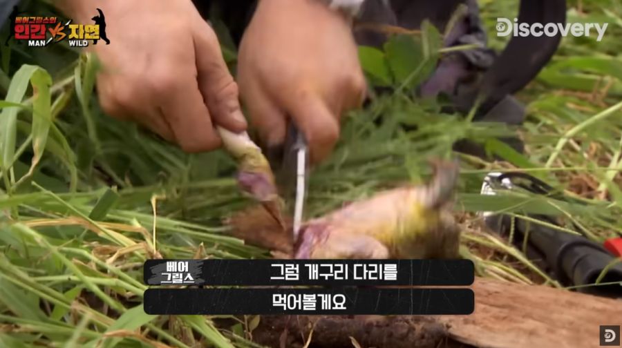 개구리 살이 맛있다는 베어 그릴스_2.png