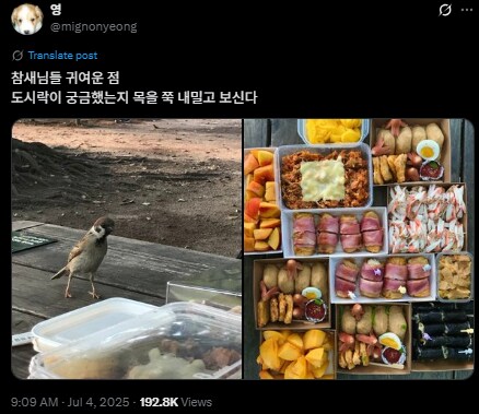 도시락이 궁금했던 참새_1.png